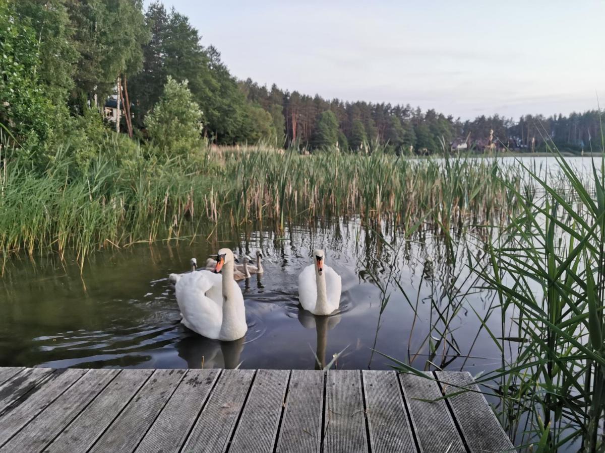 Sosnowy Azyl Villa Wąglikowice Eksteriør billede