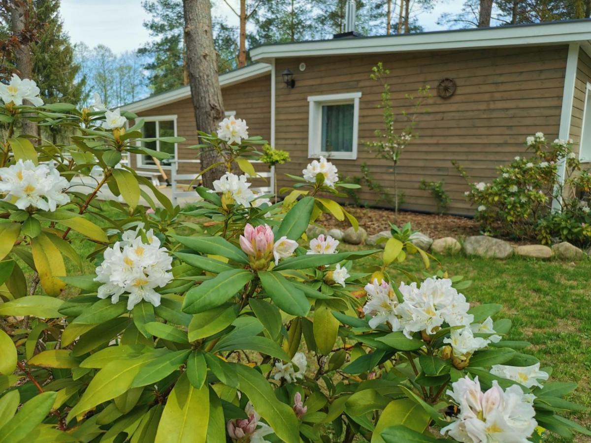 Sosnowy Azyl Villa Wąglikowice Eksteriør billede
