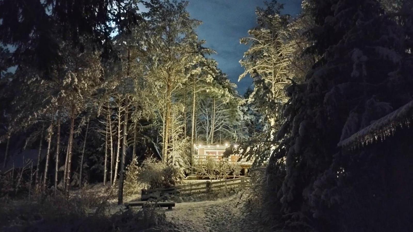 Sosnowy Azyl Villa Wąglikowice Eksteriør billede