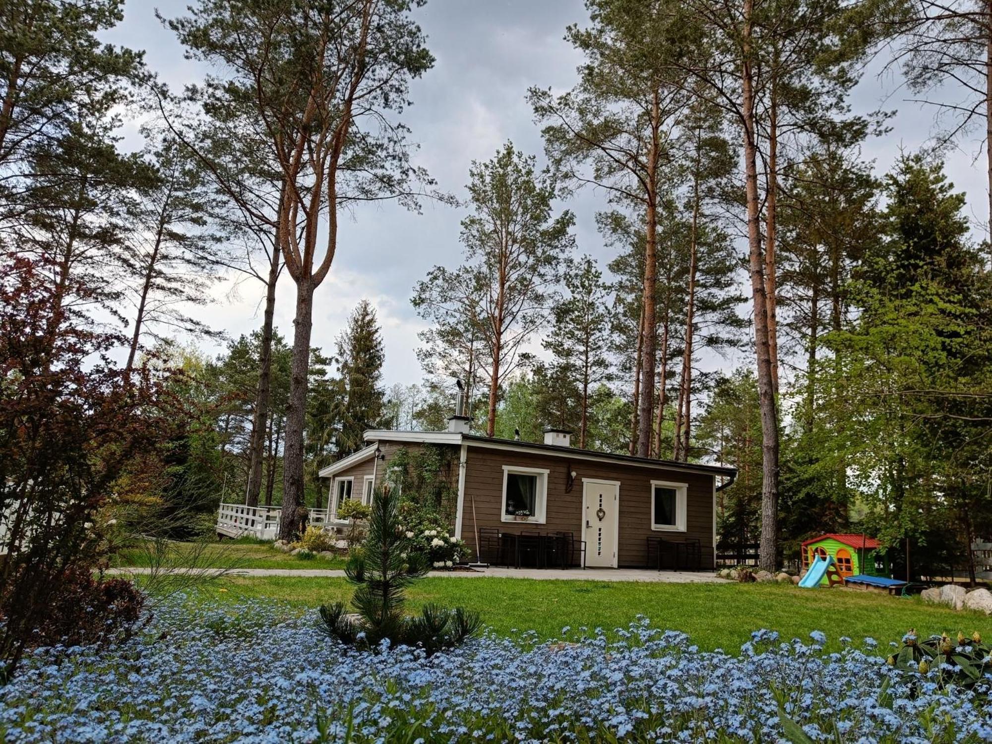 Sosnowy Azyl Villa Wąglikowice Eksteriør billede