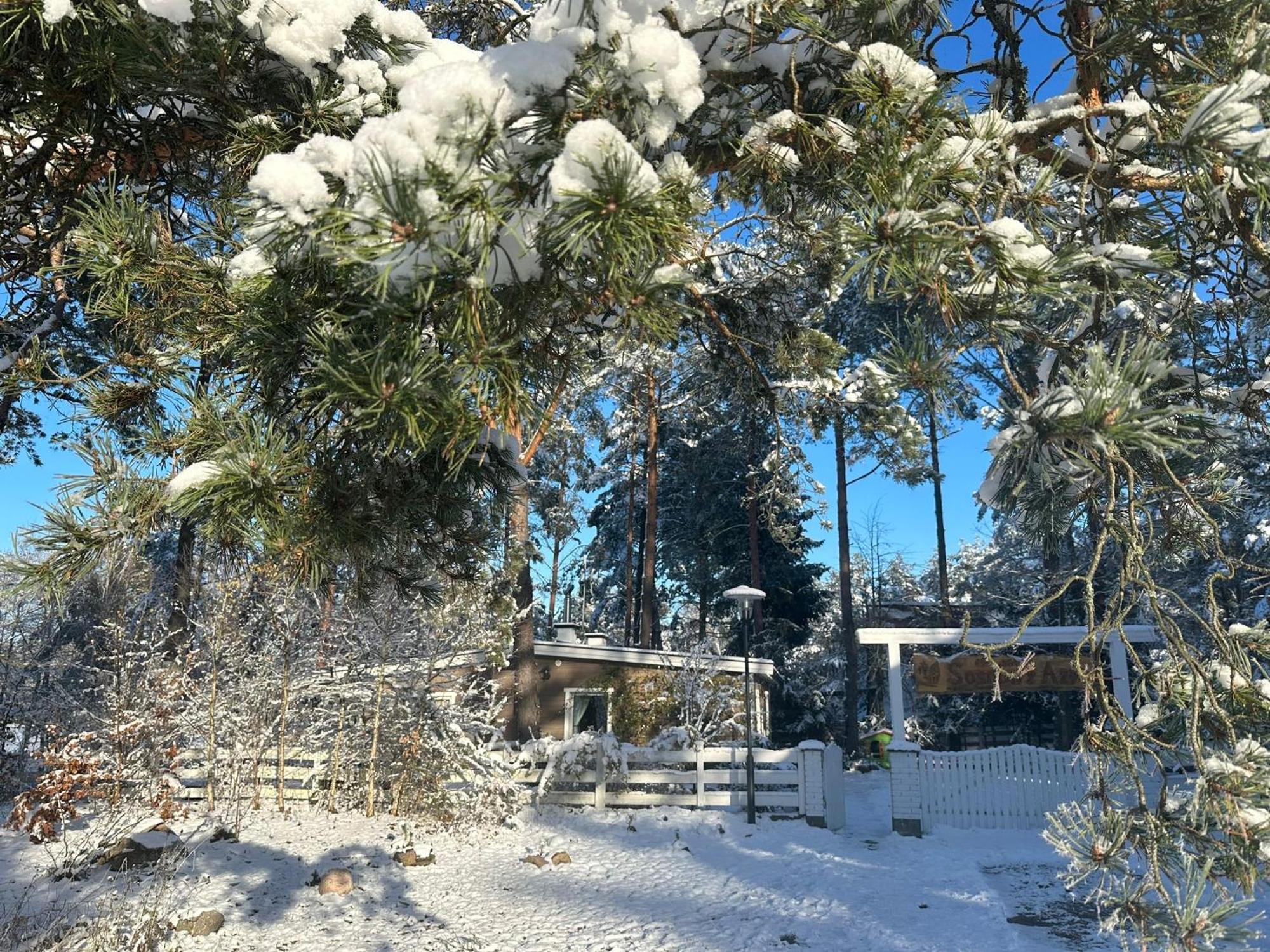 Sosnowy Azyl Villa Wąglikowice Eksteriør billede